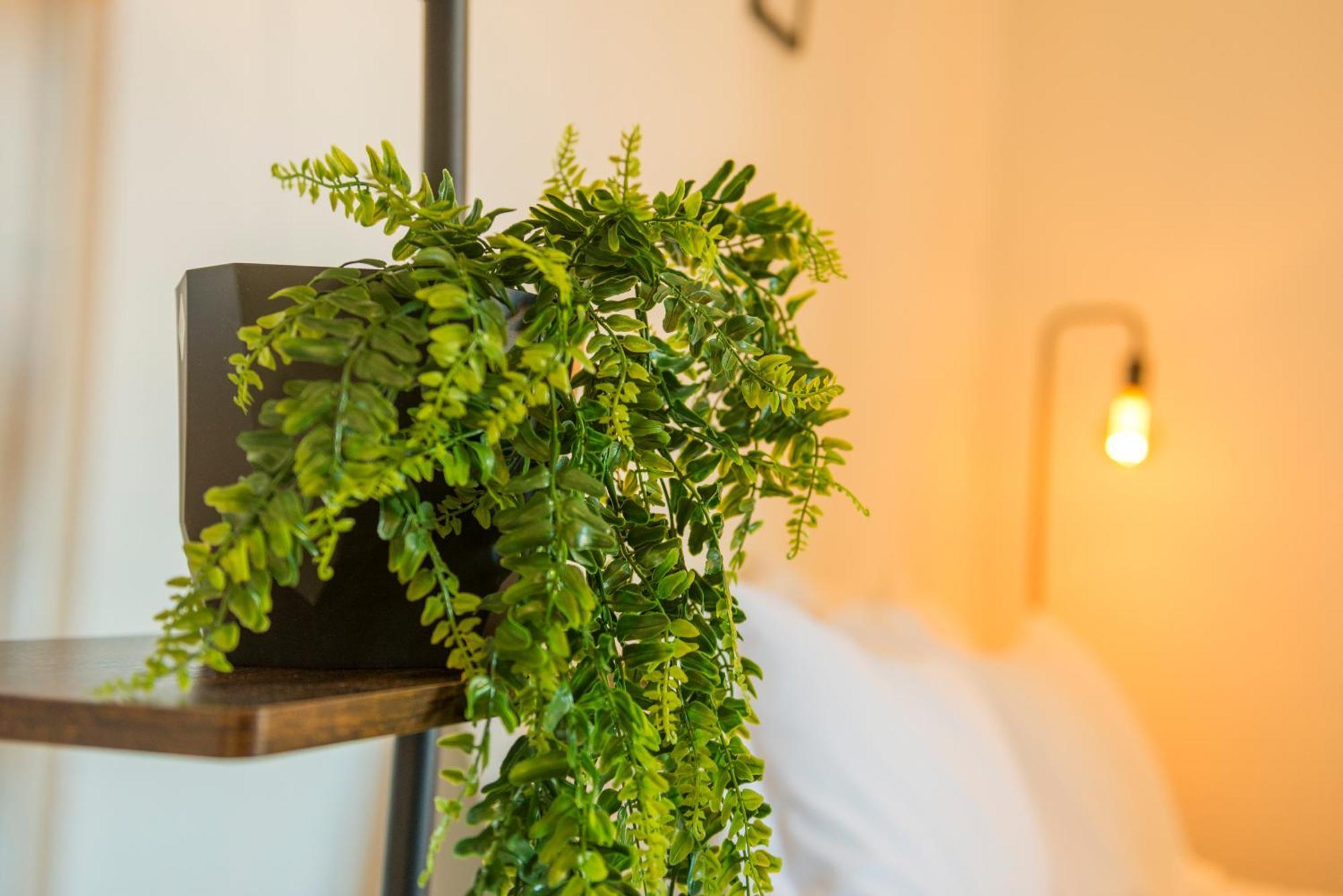 Studio In Trastevere Village 罗马 外观 照片